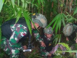Satgas Pamtas RI-Malaysia Yonif 645/Gty Sita Narkotika 27 Kilogram Dalam Kemasan Teh Guanyinwang