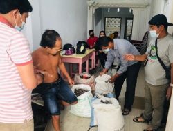 Sisik Trenggiling Antar Dua Pedagang Mendekam di Penjara