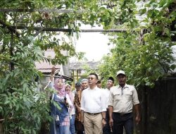 Warga Nilam 7 Sungai Jawi Inisiasi Kampung Sayur