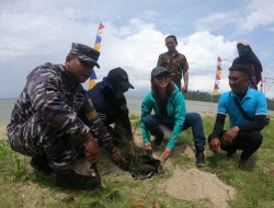 Penanaman Cemara Menjadi Gong Konservasi Terumbu Karang dan Restorasi Lamun Pulau Sawi