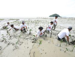Peduli Ekosistem Pantai, Orang Muda Ganjar Kalbar Tanam 500 Bibit Mangrove di Mempawah