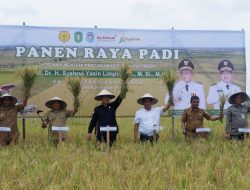 Direktur PPHTP Kementan RI panen raya padi di Kubu Raya