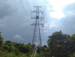 PLN Beberkan Progres SUTT 150 kV Sandai-Sukadana