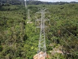 Pembangunan SUTT 150 kV Muara Teweh-Puruk Cahu-Kuala Kurun Capai 72,2 Persen