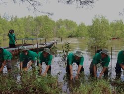 Hijaukan Pantai Seribu Cemara di Kabupaten Seruyan, PLN Tanam 11.000 Bibit Mangrove