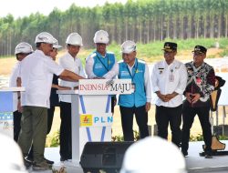 Presiden Jokowi Groundbreaking Pembangunan PLTS PLN 50 MW di IKN Nusantara, Hadirkan 100% Energi Bersih