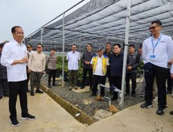 Dampingi Kunjungan Presiden di IKN, Dirut PLN Siap Penuhi Kebutuhan Listrik Dari Energi Bersih