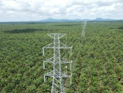 SUTT 150 kV Kendawangan – Sukamara Capai Proses Stringing