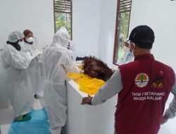 Ada Luka Sedalam Tujuh Sentimeter di Balik Kematian Orangutan di Riam Berasap