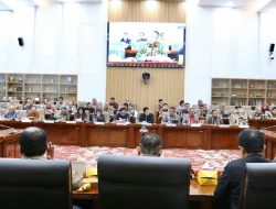 PLN Ajukan 3 Triliun PMN 2025 untuk Bangun Kelistrikan Daerah Terpencil