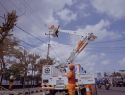 PLN Catat Kinerja Operasional Positif sepanjang 2024