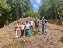 Hijaukan Hutan, Ramahkan Anak: Inovasi Lingkungan PLN yang Raih Penghargaan Nusantara CSR Awards