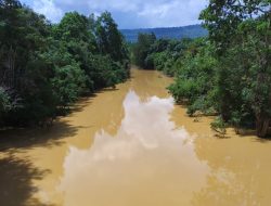 Potret Suram di Balik Dominasi Industri Ekstraktif di Kalbar