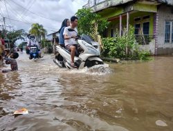 Eksploitasi Hutan Masif di Kalbar Ancam Bencana Ekologis
