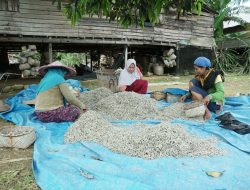 Menghidupkan Ingatan Maritim Pulau Kabung Lewat Pameran Seni Kontemporer