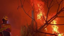 Lahan Gambut di Jalan Wonodadi 2 Terbakar, BPBD Kubu Raya Turunkan Tim Gabungan