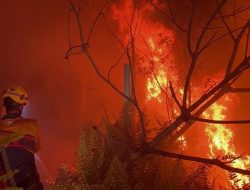 Lahan Gambut di Jalan Wonodadi 2 Terbakar, BPBD Kubu Raya Turunkan Tim Gabungan