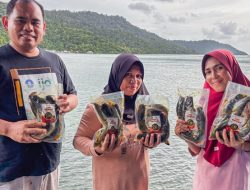 Dari Dapur ke UMKM, Perempuan Desa Pelapis Perkuat Ekonomi Keluarga Nelayan