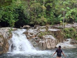 Tuja Sentarum, Permata Tersembunyi Sintang yang Terbelit Konflik