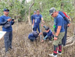 Belajar dari Kegagalan, Kalimantan Barat Perkuat Rehabilitasi Mangrove Berbasis Ekologi