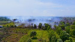 Ribuan Titik Panas Kepung Gambut Sumatra dan Kalimantan