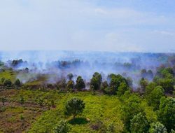 Ribuan Titik Panas Kepung Gambut Sumatra dan Kalimantan