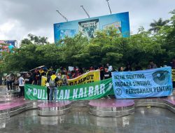 Koalisi Rimpang Borneo: Pulihkan Nadi Hijau Kalbar