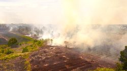 Ancaman “Godzilla” El Niño dan Rapuhnya Penegakan Hukum: Ribuan Titik Api Kepung Konsesi Korporasi