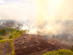 Ancaman “Godzilla” El Niño dan Rapuhnya Penegakan Hukum: Ribuan Titik Api Kepung Konsesi Korporasi