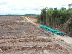Rangkul Pembalak Terbesar, Bisnis Orang Terkaya di Indonesia Ancam Hutan Kalimantan