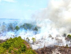 Kalimantan Darurat Asap, WALHI Desak Negara Seret Korporasi Nakal