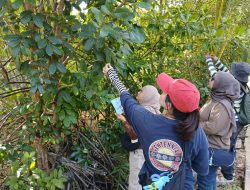 KJC 2026: Sambangi Desa Medan Mas, Puluhan Jurnalis dan Kreator Konten Galang Komitmen Jaga Benteng Mangrove Pesisir Kubu Raya