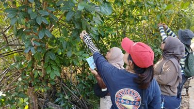 KJC 2026: Sambangi Desa Medan Mas, Puluhan Jurnalis dan Kreator Konten Galang Komitmen Jaga Benteng Mangrove Pesisir Kubu Raya