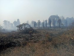 Karhutla Medan Mas Capai 15 Hektare, Api Masih Menggerogoti Gambut