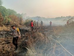 Kebakaran Lahan Kepung Desa Medan Mas Kubu Raya