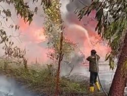 Kalbar Catat Dampak Ekonomi Terbesar Karhutla, Kerugian Diperkirakan Capai Rp5,7 Triliun