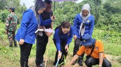 Gempur Kalimantan Tanam Ratusan Pohon di Perbatasan Paloh, Libatkan Masyarakat hingga Malaysia