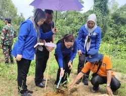 Gempur Kalimantan Tanam Ratusan Pohon di Perbatasan Paloh, Libatkan Masyarakat hingga Malaysia